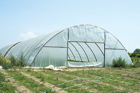 Green House Application